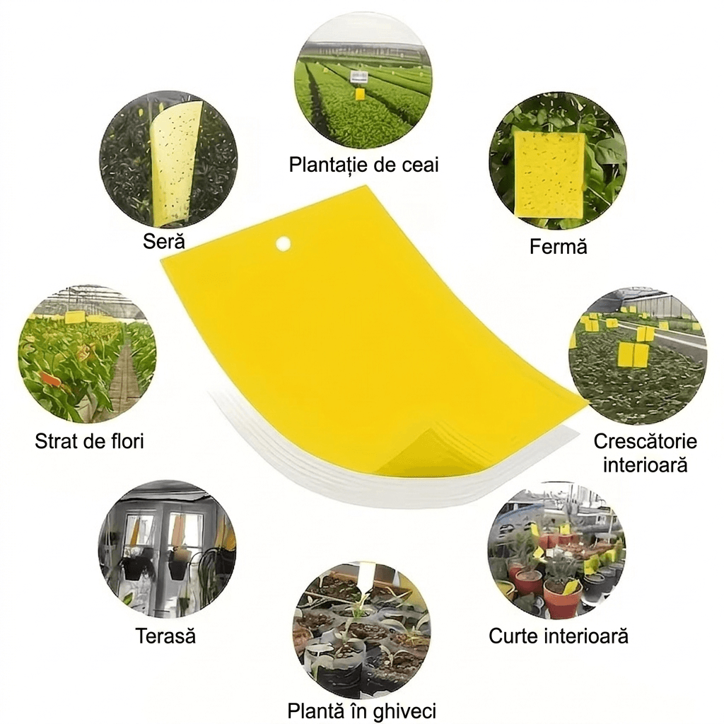 Hârtie galbenă pentru prinderea insectelor