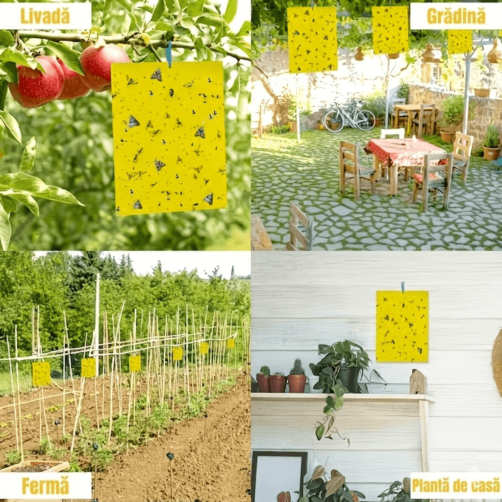 Hârtie galbenă pentru prinderea insectelor